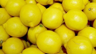 Photo of Health Benefits of Lemons
