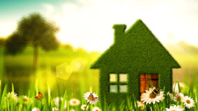 Photo of 10 Tips To Upgrade Your Home During The Spring Season