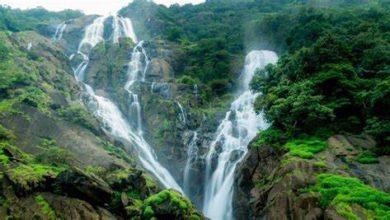 Photo of DudhSagar Waterfall Trek 2021-22