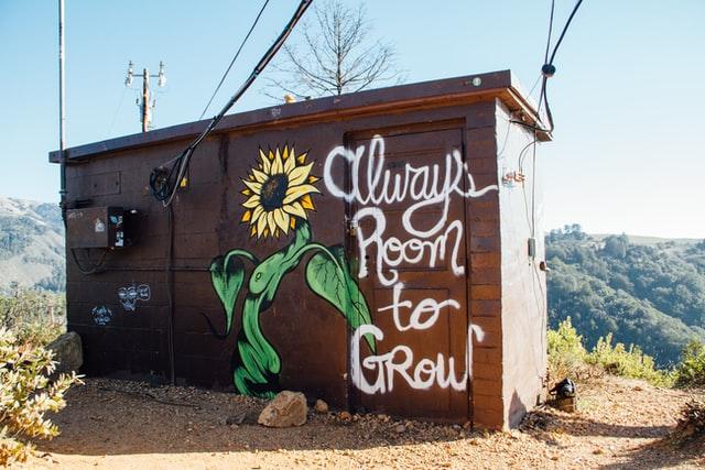 A close up view of a brown shed with a sunflower graffiti on it