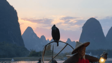 Photo of Tips to Plan a Tour of Guilin