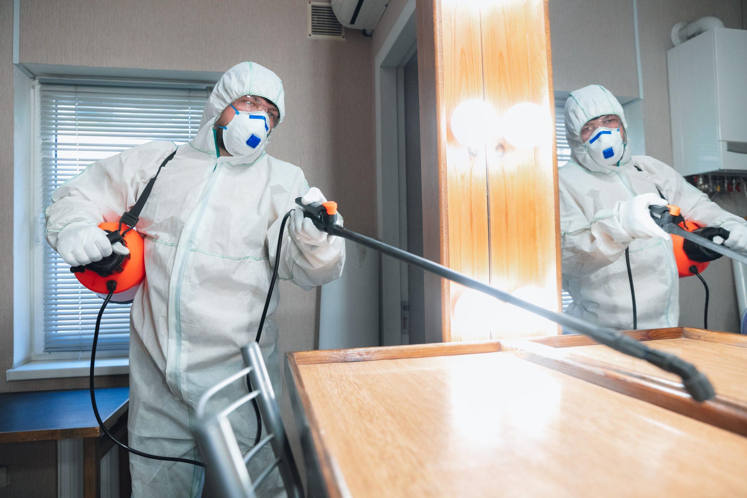 Photo of 5 Reasons To Call A Mold Removal Professional