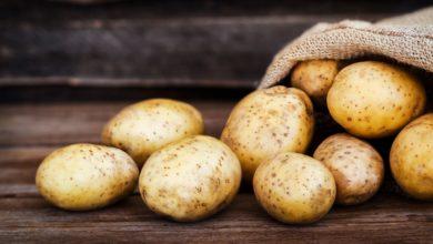 Photo of Super Vegetable Potatoes Have 6 Incredible Health Benefits